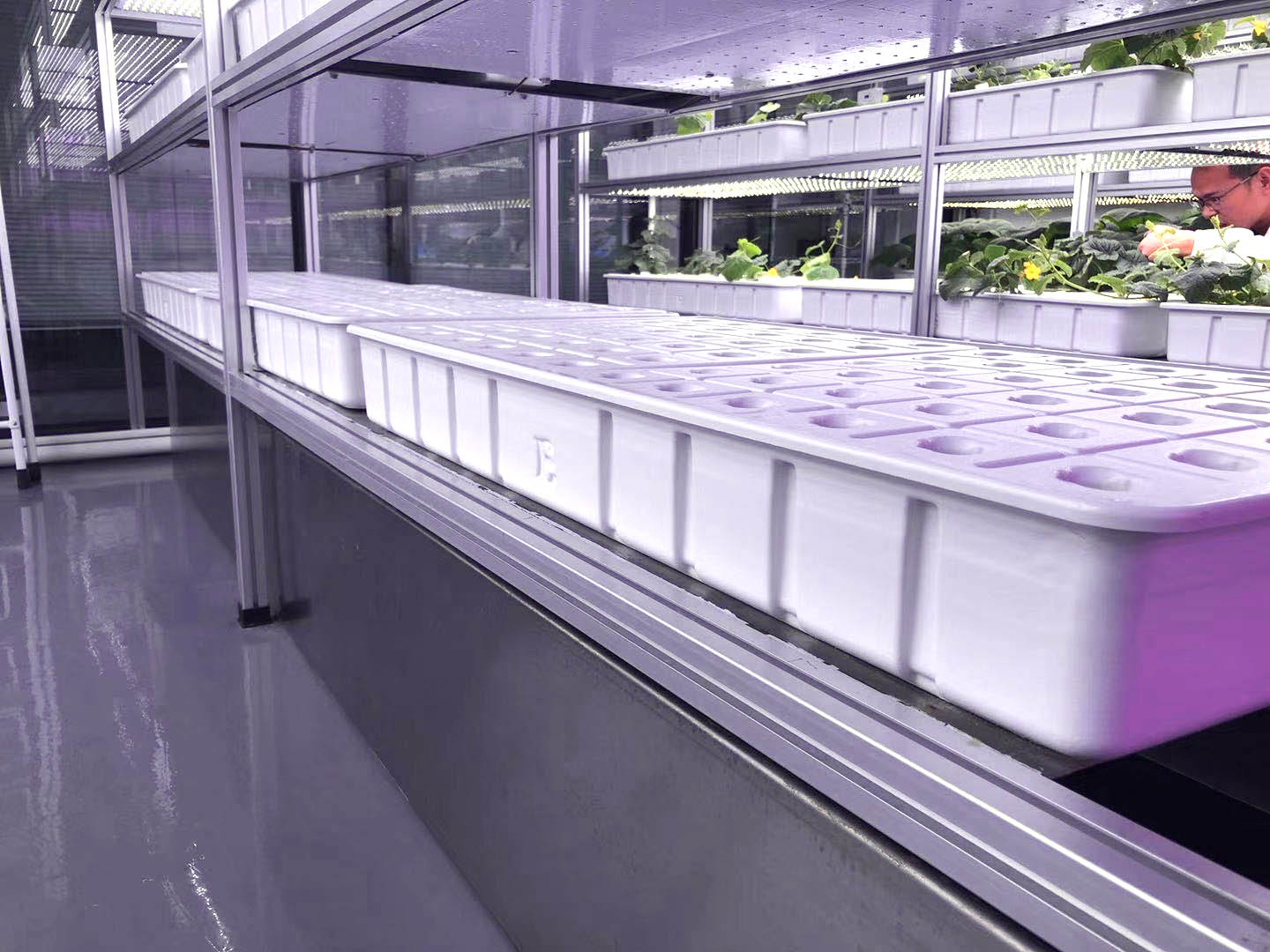 ABS塑料種植穴盤